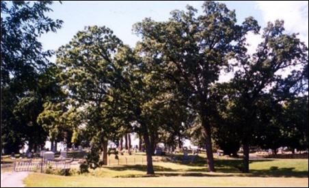 Photograph of Memorial Park Cemetery.